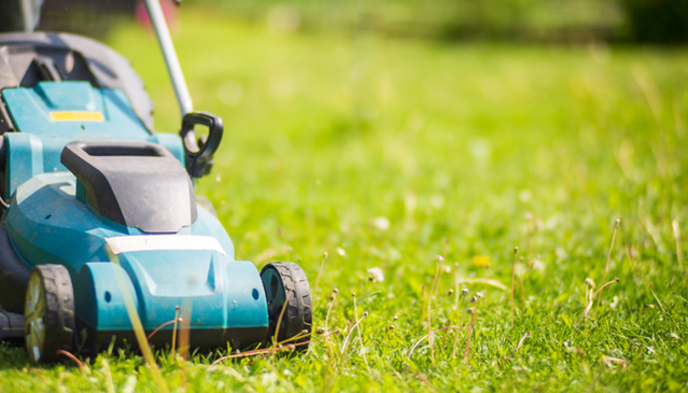 Extérieur - Pourquoi déléguer la création de son jardin à un paysagiste ?